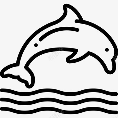海豚动物跳跃图标图标
