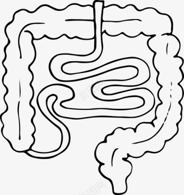 柔韧身体肠解剖学身体图标图标