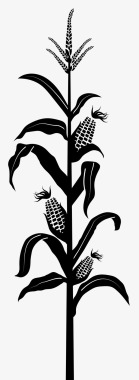 自然玉米玉米秸秆自然图标图标