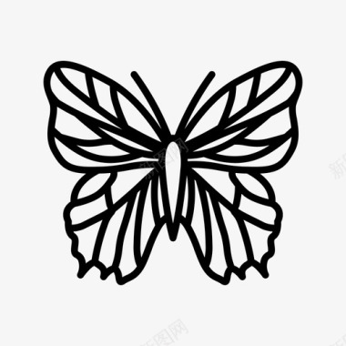蝴蝶美丽昆虫图标图标