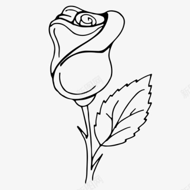 玫瑰玫瑰花枝图标图标