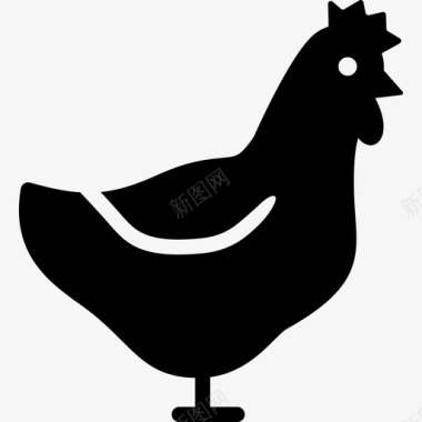 母鸡鸡农场图标图标