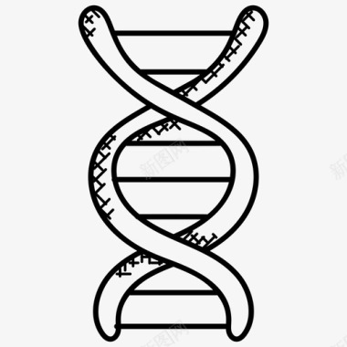 dna结构生物技术遗传细胞图标图标