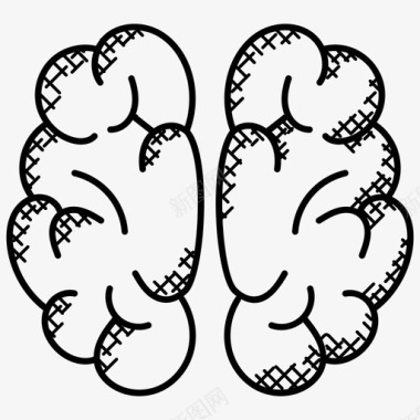 人脑图片脑头人脑图标图标