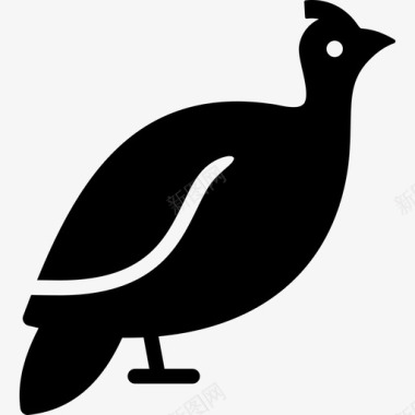 珍珠鸡鸟黑色图标图标