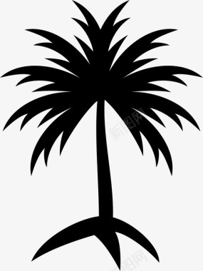 棕榈树叶子植物图标图标