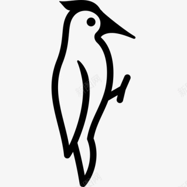 啄木鸟鸟回焰鸟图标图标