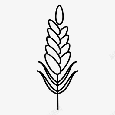 小麦穗天然食用有机小麦图标图标