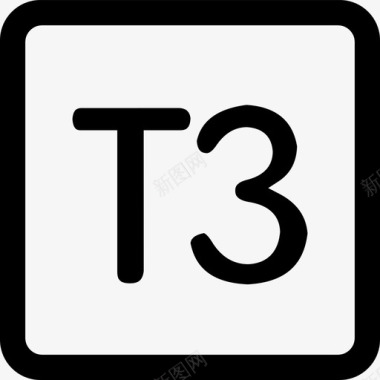 T3图标