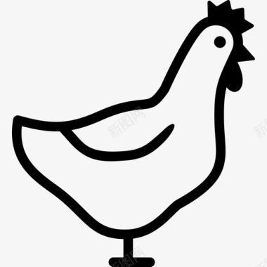 鸡农场家禽图标图标