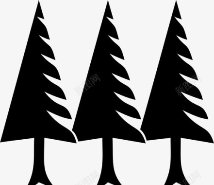 冷杉松树冷杉森林图标图标