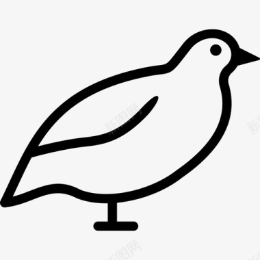 鹌鹑鸟蓝图标图标