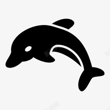 海豚海豚动物鱼图标图标