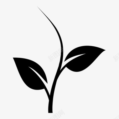 植物叶子茶叶图标图标