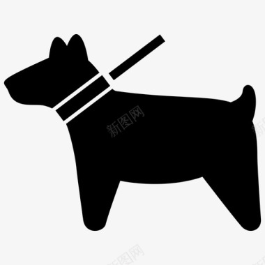 遛狗动物皮带图标图标