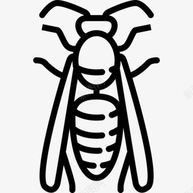 大黄蜂动物群直线型图标图标