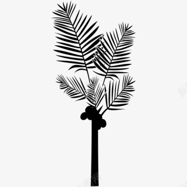 椰子树花园叶子图标图标