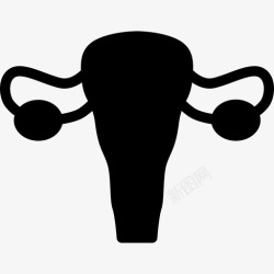 女性生殖系统女性生殖系统医学解剖学图标高清图片