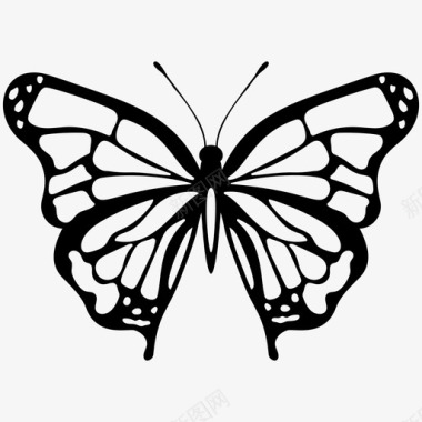 沙蓬长翅蝴蝶昆虫图标图标