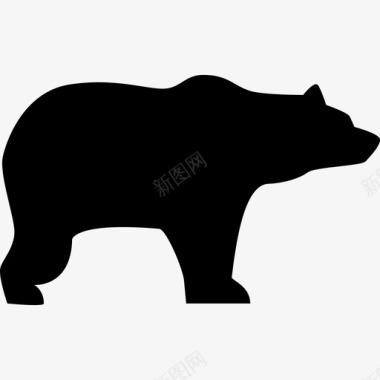 熊面朝右动物动物的轮廓图标图标