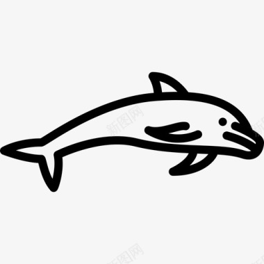 海豚海豚跳跃动物群直线型图标图标