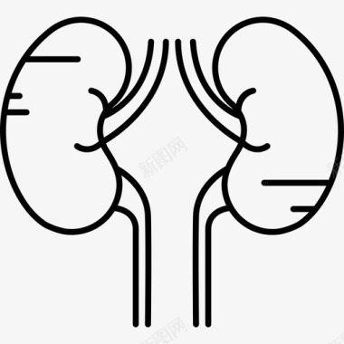 两个肾人体部分黑色图标图标