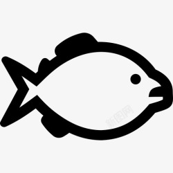 黄腹山雀食人鱼鱼金色图标高清图片