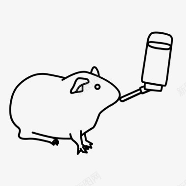 豚鼠动物护理饮用图标图标
