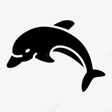 海豚海豚动物鱼图标图标