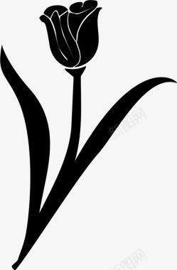 郁金香美丽花图标图标
