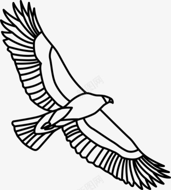 金鹰鸟捕食者图标图标