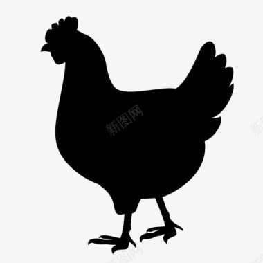 母鸡图标