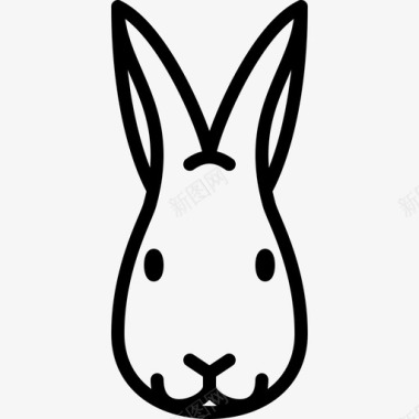 兔头动物群直系图标图标