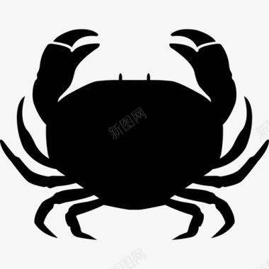 螃蟹海蟹海鲜图标图标