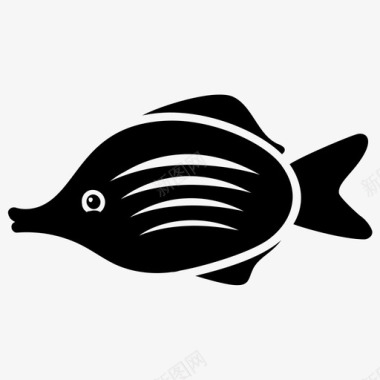 水鱼淡水鱼热带鱼图标图标