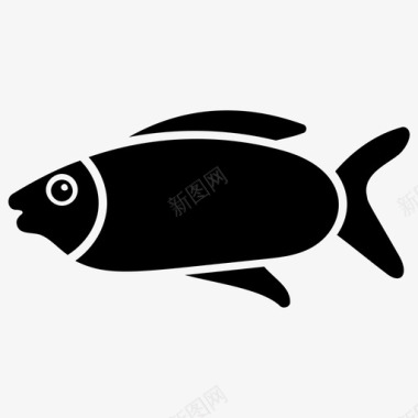 咸水鱼水生鱼淡水鱼图标图标