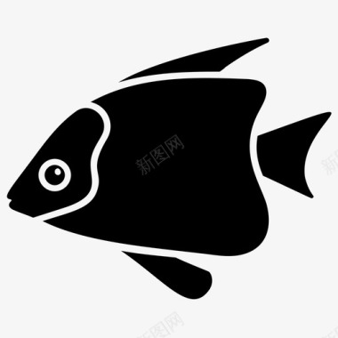 额头鱼水生鱼淡水鱼图标图标