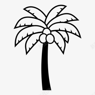 椰子树椰子树森林花园图标图标