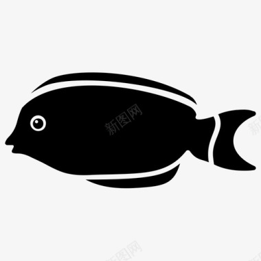 panfish水生鱼淡水鱼图标图标