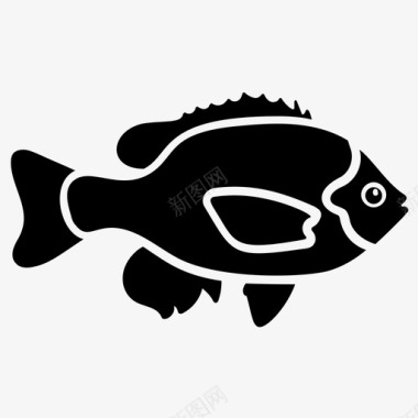 海金鱼水生鱼淡水鱼图标图标