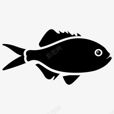 海金鱼水生鱼淡水鱼图标图标