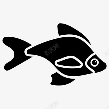 海鱼水生鱼淡水鱼图标图标