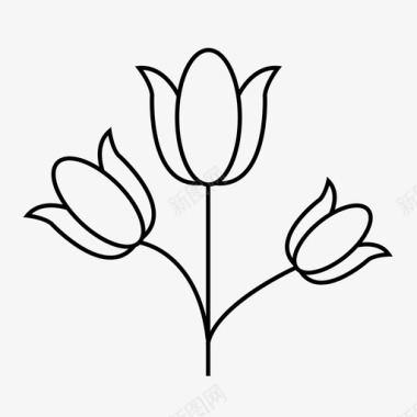 郁金香花玫瑰图标图标
