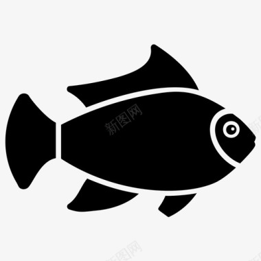 毕加索鱼水生鱼淡水鱼图标图标