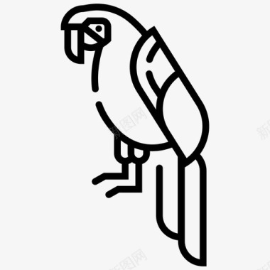 鹦鹉鸟金刚鹦鹉图标图标