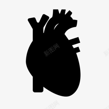人体心脏解剖学心脏病学图标图标
