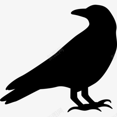 乌鸦动物鸟的剪影图标图标