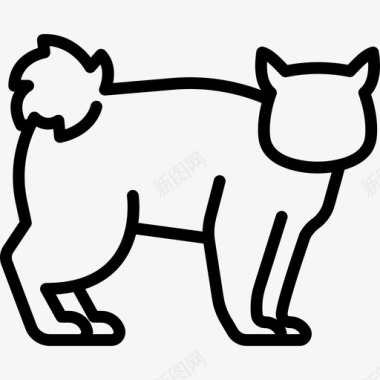 千岛短尾猫动物猫繁殖体图标图标