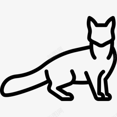 土耳其安哥拉猫动物猫繁殖体图标图标