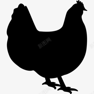 奥林顿鸡动物鸟的剪影图标图标